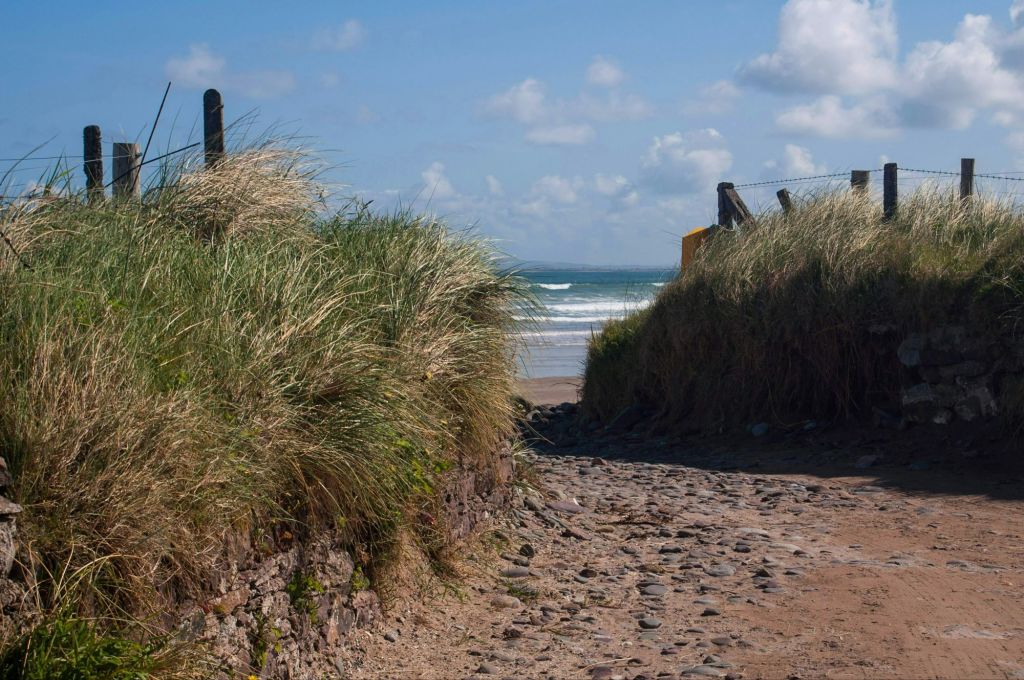 A picture of a typical entrance to an Irish beach, stony damp sand between banks of grass...
