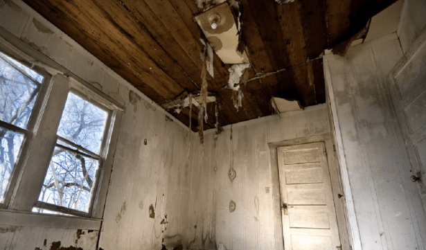 A picture of a fairly rundown room, with ceiling calling in, walls stained, windows falling out of the frames... It's a structural problem. And no, I don't know who the Bob is in the caption, it just appeared like an appropriate name to use!